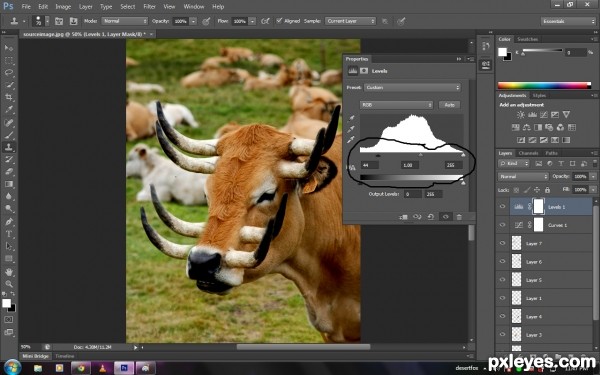 Creation of 8 horns cow: Step 3