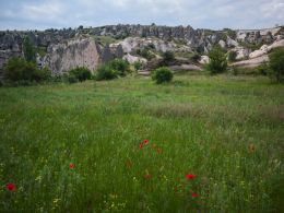 GomedÃ« valley