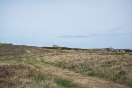 Along the cliffs