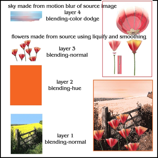 Creation of poppies painting: Step 1