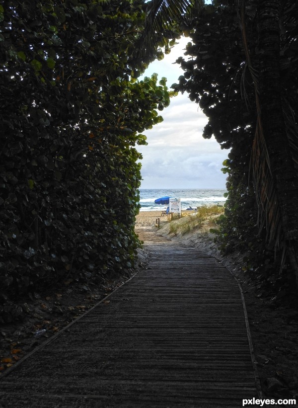 follow the boardwalk