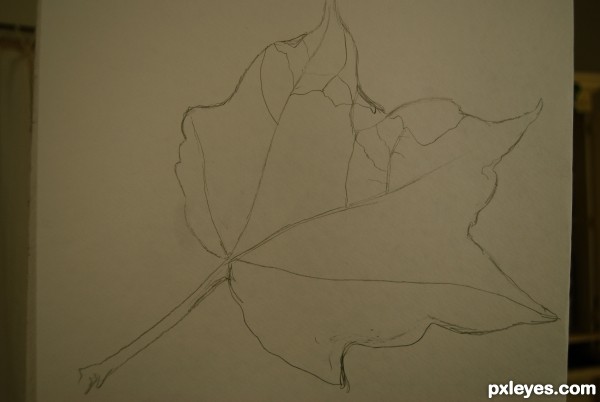 Creation of lone leaf...: Step 1