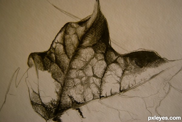 Creation of lone leaf...: Step 3