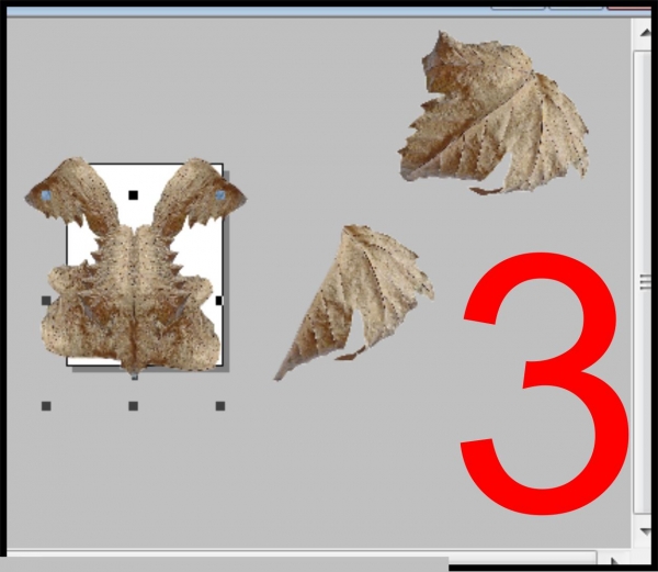 Creation of dragon leaf: Step 3