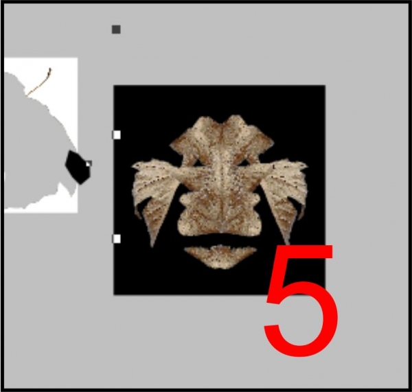 Creation of dragon leaf: Step 5