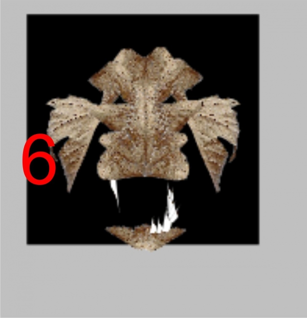 Creation of dragon leaf: Step 6