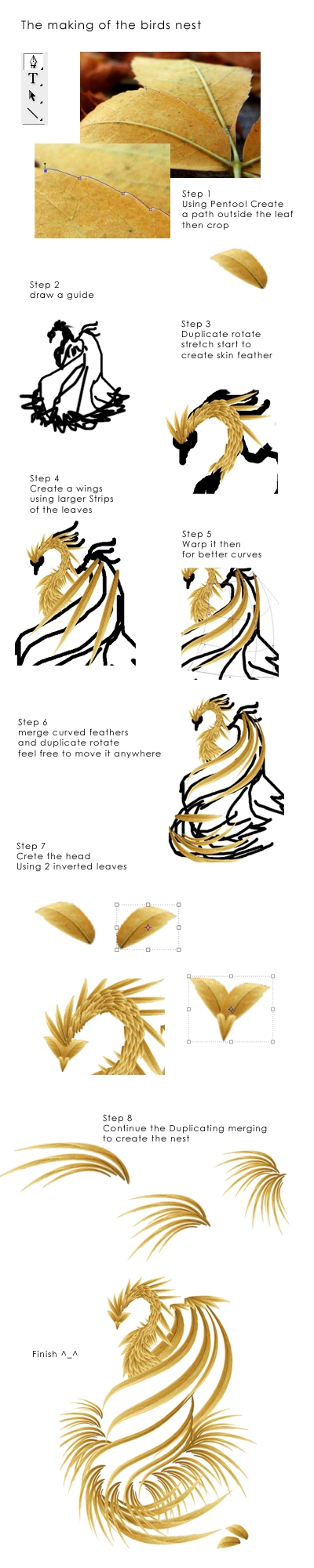 Creation of Birds Nest: Step 1