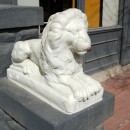 lion statue source image