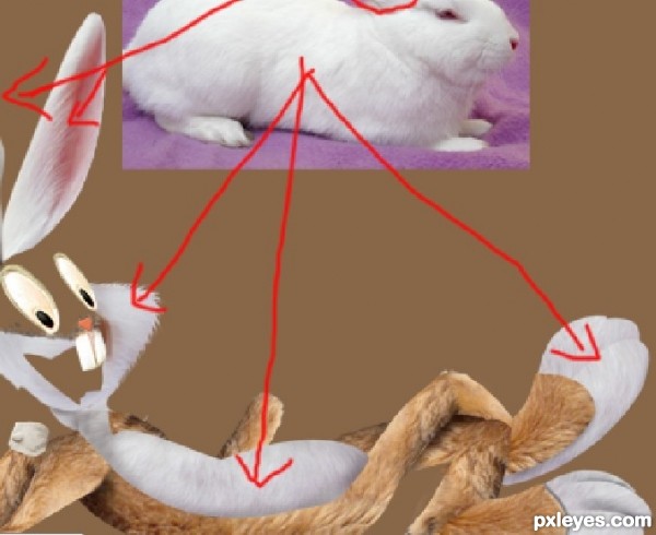 Creation of Bugs Bunny: Step 2