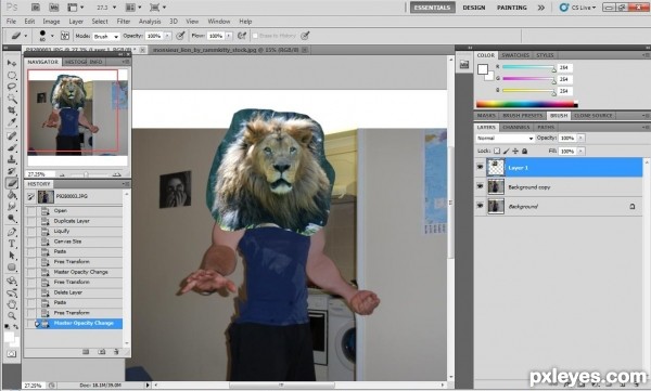 Creation of Liono: Step 3