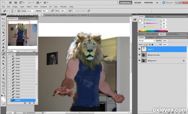 Creation of Liono: Step 5