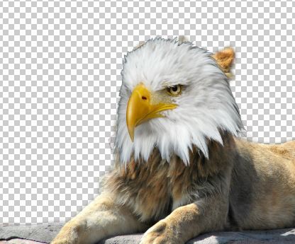 Creation of Majestic Griffin: Step 1