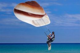 Shell Surfing