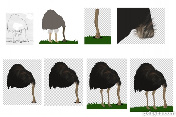 Creation of Ostrich!: Step 1