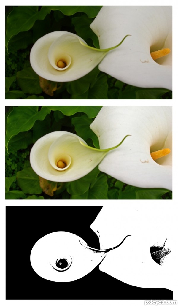 Creation of 2 Calla Lilies: Step 1