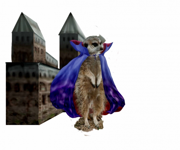 Creation of Count Meercula: Step 5