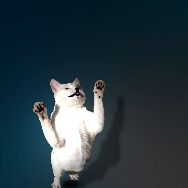 Creation of It's Cat Mime Conductor: Step 2