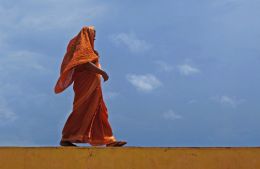 Orange Sari