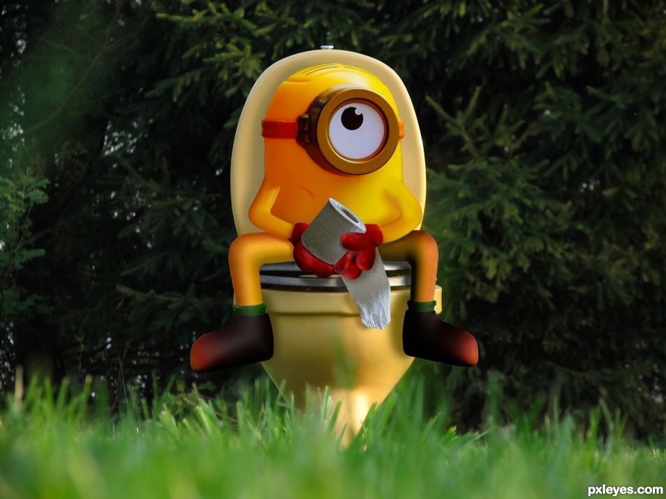 Minion Outhouse