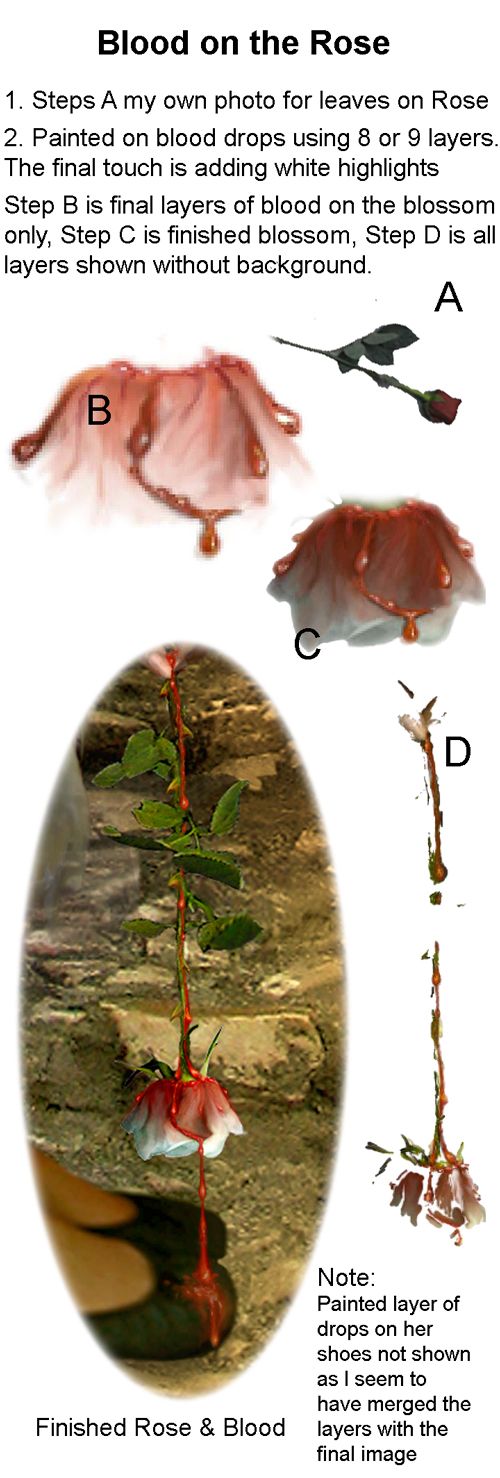 Creation of The Last Rose: Step 16