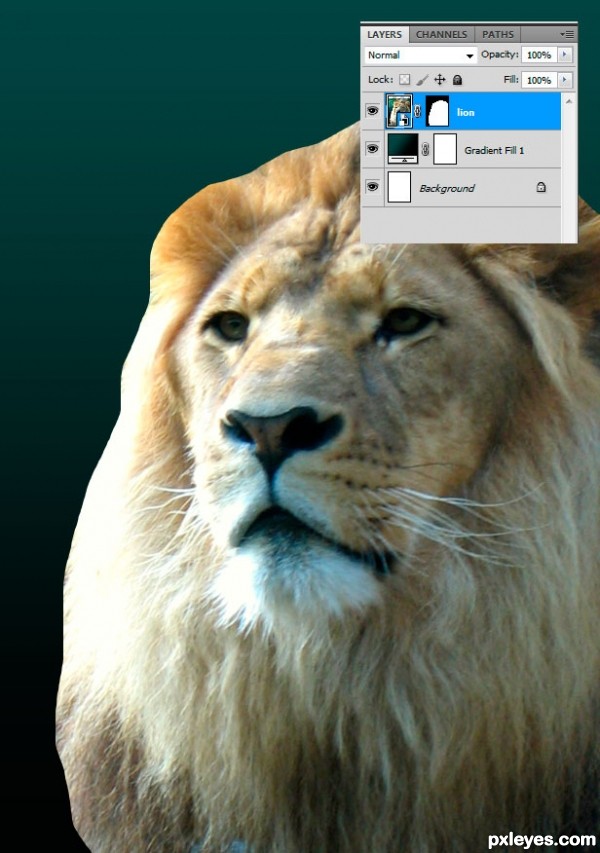 Creation of Water Lion: Step 2