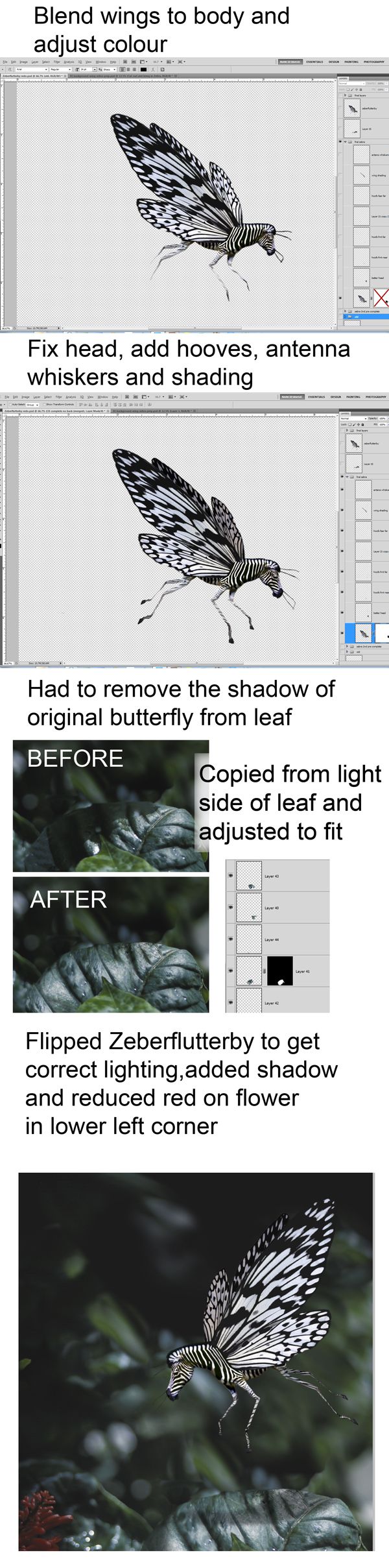 Creation of Zeberflutterby: Step 2