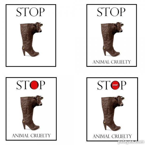 Creation of Stop Animal Cruelty: Step 4