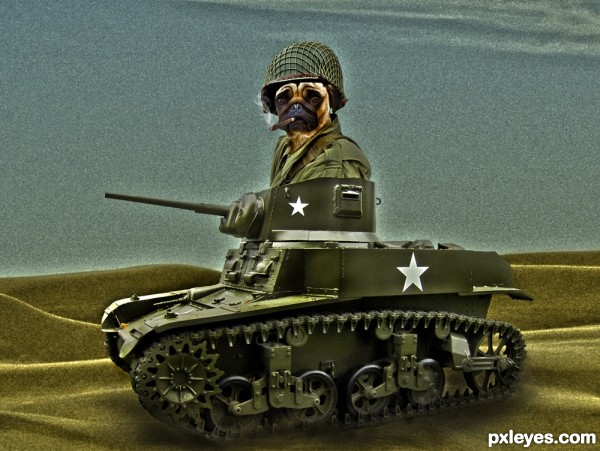 Tank Dog