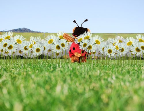 Creation of Tiptoe Through the Daisies: Step 7