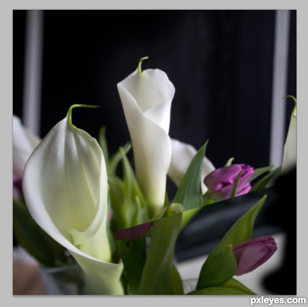 Creation of Calla Lilies: Step 5