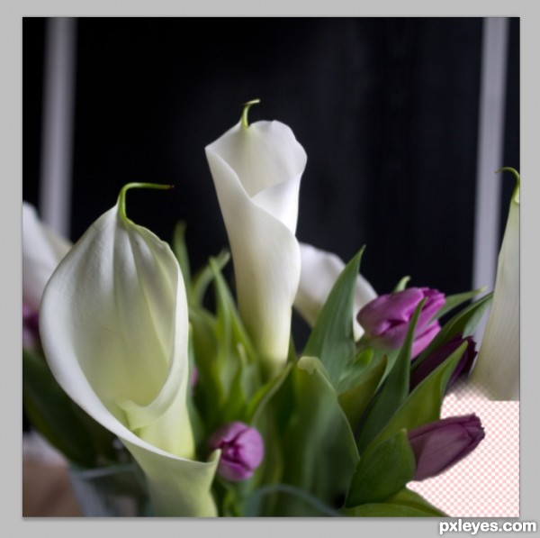 Creation of Calla Lilies: Step 6