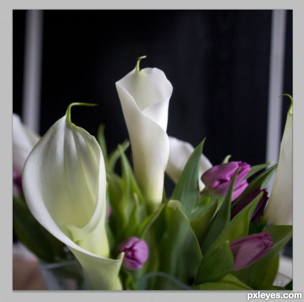 Creation of Calla Lilies: Step 7