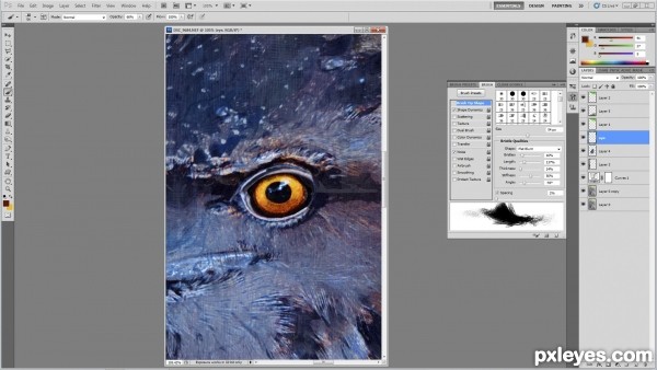 Creation of eye of the owl: Step 5