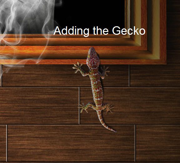 Creation of Animated Pictures (The Fly & Gecko): Step 20