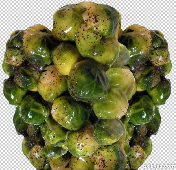 Creation of I Really Hate Visiting Brussels, all those Sprouts: Step 5