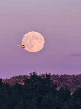 Fly Me to the Moon