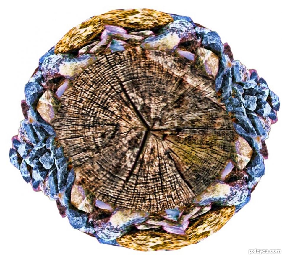 Creation of Asteroidea Hippotigris: Step 7