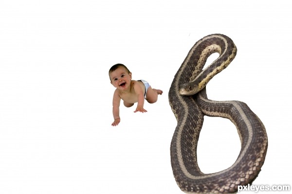 Creation of Babysnakes: Step 1