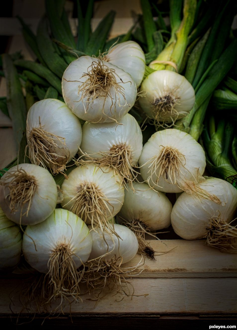 Spring onions