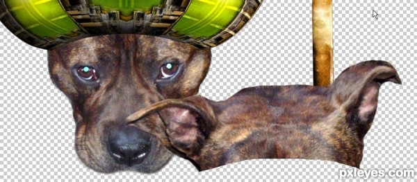 Creation of Vaudeville Puppy: Step 9