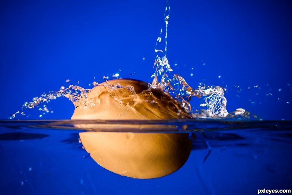 Splash Egg