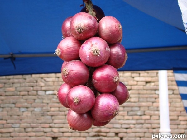 Creation of Swinging  Onions: Step 1