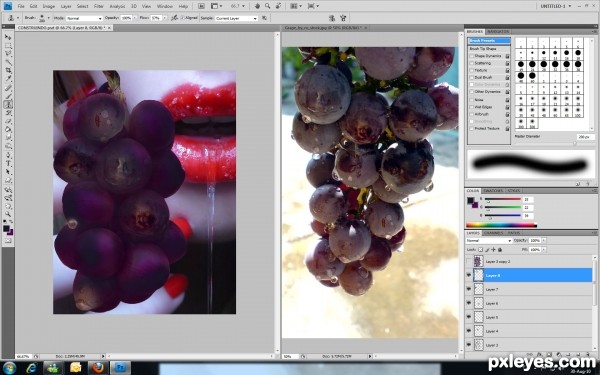 Creation of Grape: Step 4