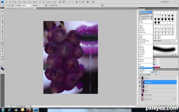 Creation of Grape: Step 5