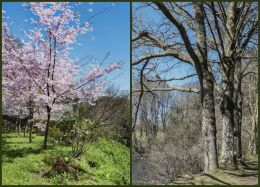 Spring and winter