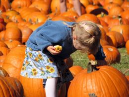 Entry number 106780 Pumpkin Girl