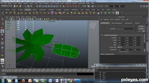 Creation of Money Flowers: Step 1