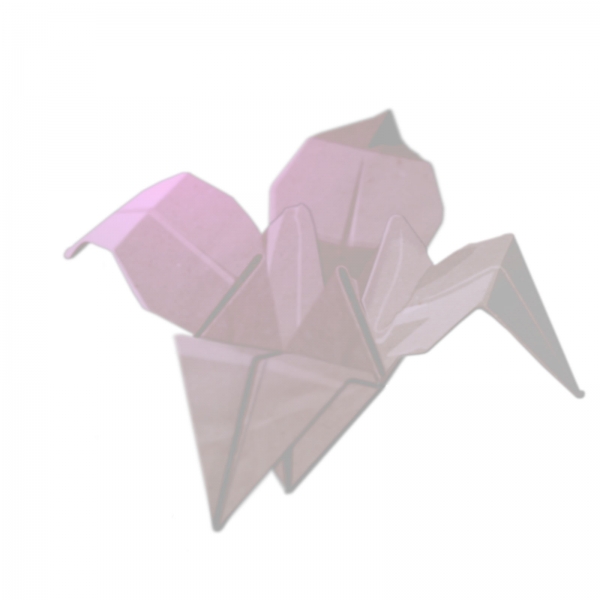 Creation of origami flower: Step 4