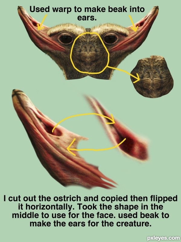 Creation of Oh No Not Again!: Step 1