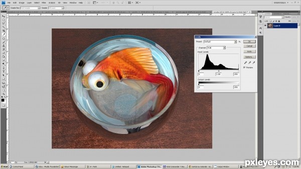 Creation of Goldfish: Step 15